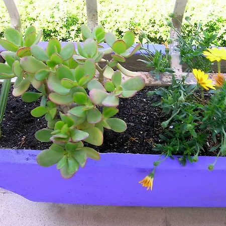 Centralissimo E Luminosissimo A Apartment Rom