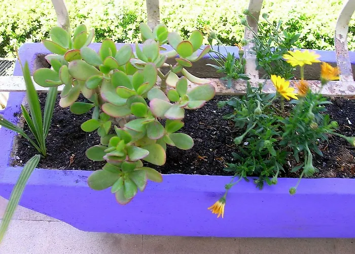 Centralissimo E Luminosissimo A 아파트 로마